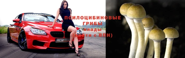 гашик Алзамай