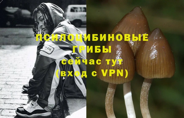 гашик Алзамай