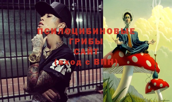 альфа пвп Алексеевка