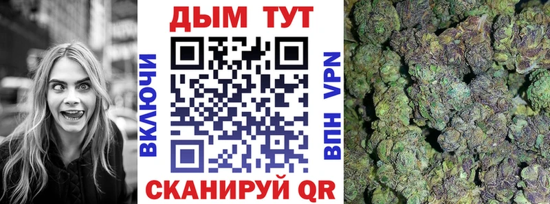 Конопля индика  Анадырь 